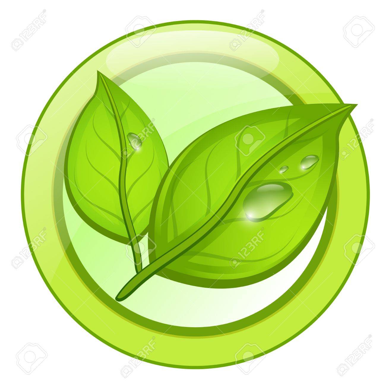 Productos Sustentables